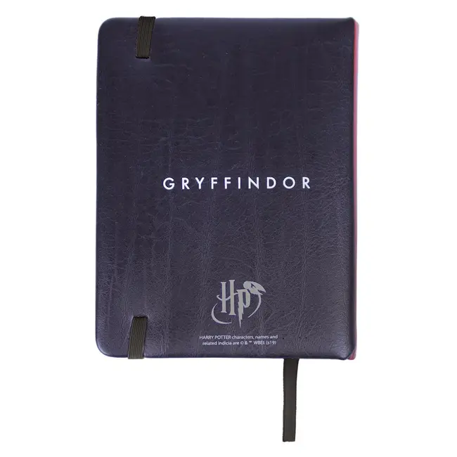 Set Birotica Harry Potter Gryffindor