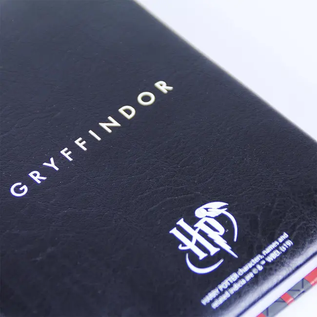 Set Birotica Harry Potter Gryffindor