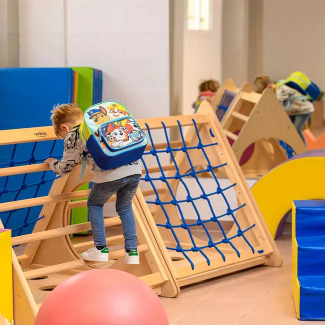 Rucsac Paw Patrol cu buzunar transparent, 25x30x12 cm