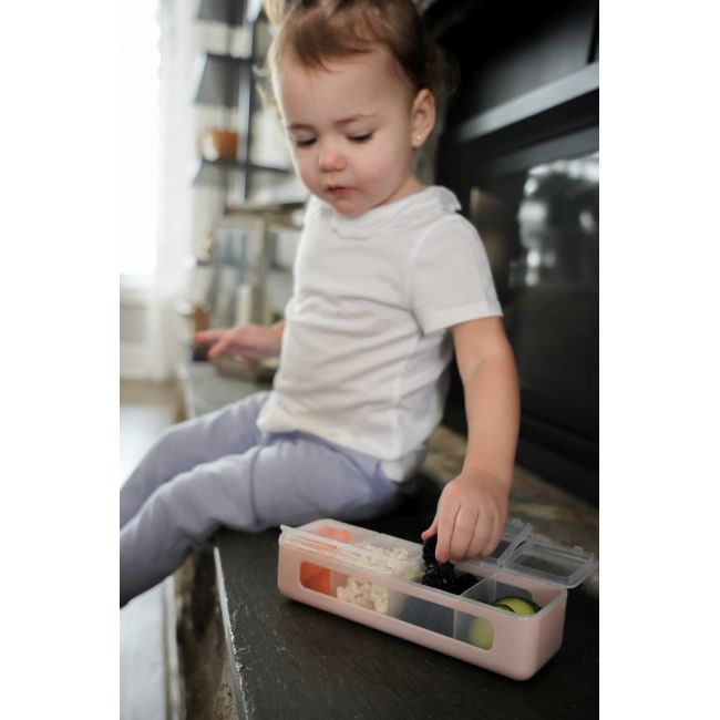 CUTIE SNACK 4 COMPARTIMENTE, MELII, ROZ VIVML22400
