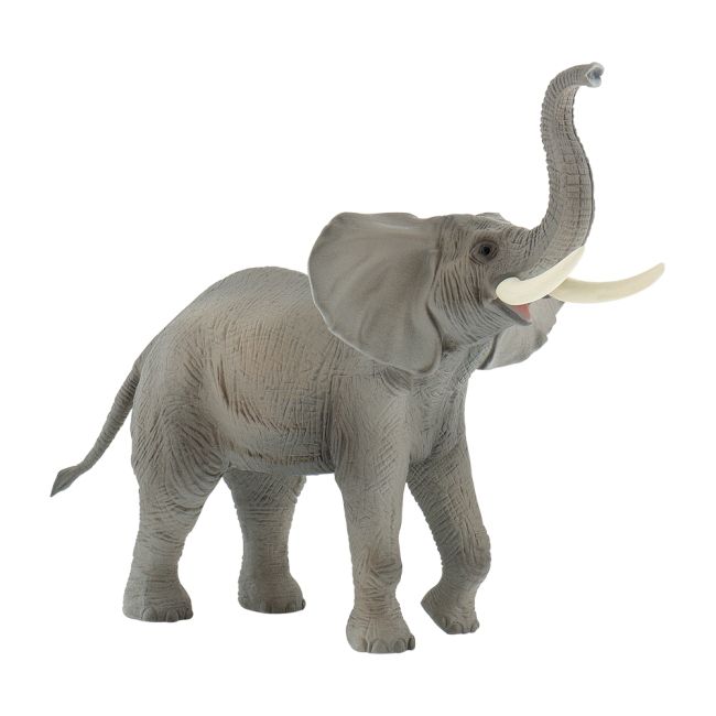 Elefant african bl4007176636855