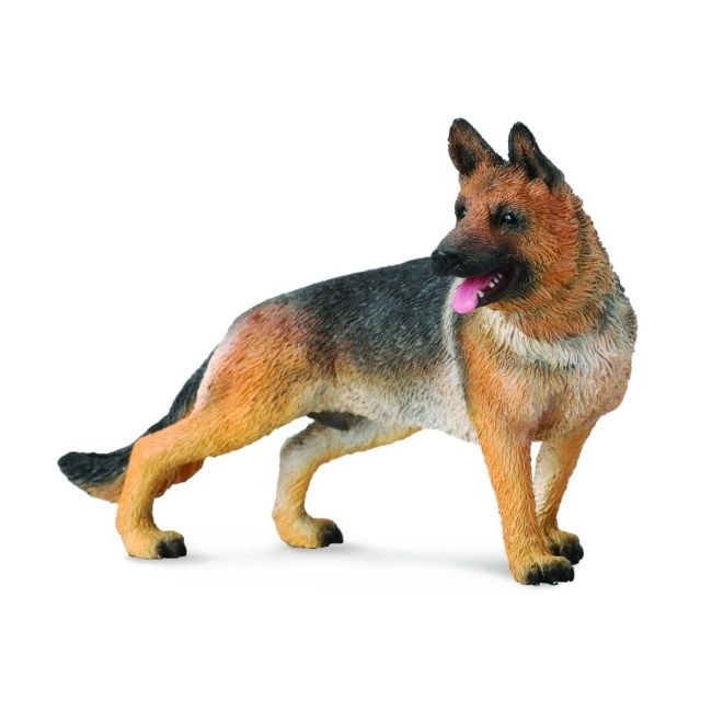 Ciobanesc german col88552l