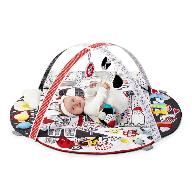 SALTEA DE JOACA EDUCATIONALA KINDERKRAFT 4SMART VIVKP4SMA00MUL0000