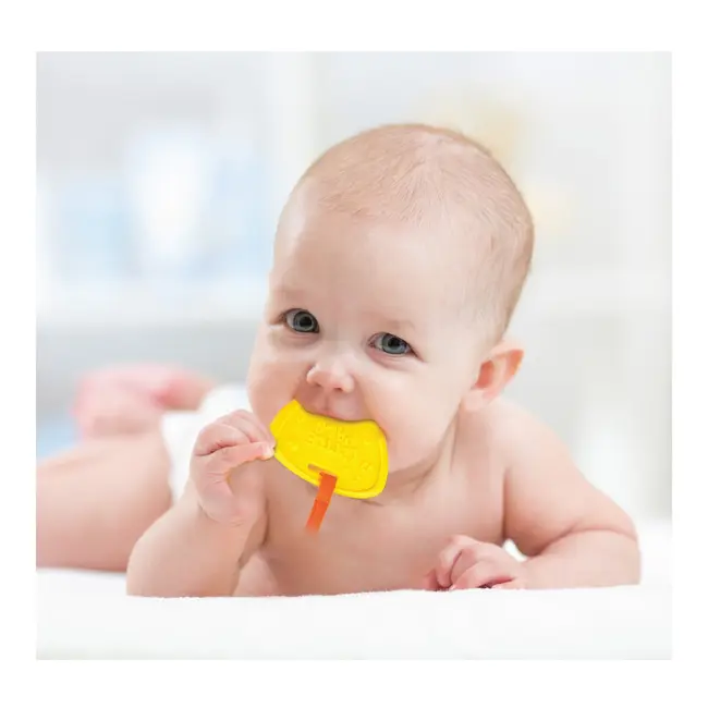 WINFUN JUCARIE ELEFANTEL VIVWin000175