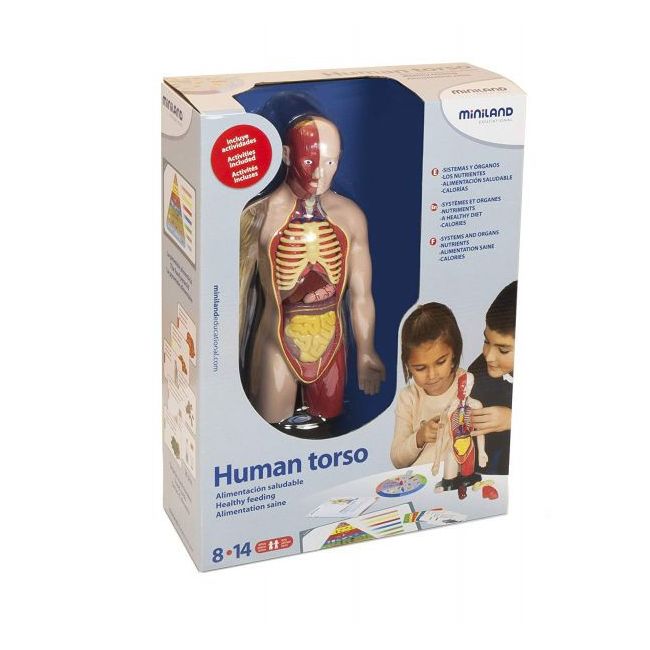 Kit educational mulaj corpul uman si sistemul digestiv - okeml99113