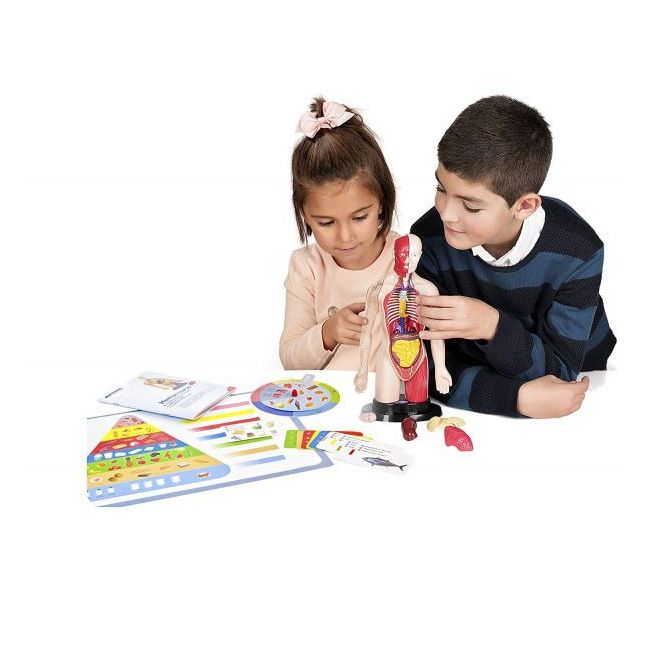 Kit educational mulaj corpul uman si sistemul digestiv - okeml99113