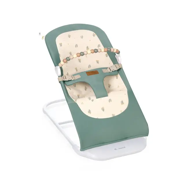 Balansoar, Jane, Ballu, Pliabil, Cu bara de jucarii si spatar reglabil in 3 pozitii, Conform cu standardul european de siguranta EN 12790:2023, Botanic BYN8420421089606