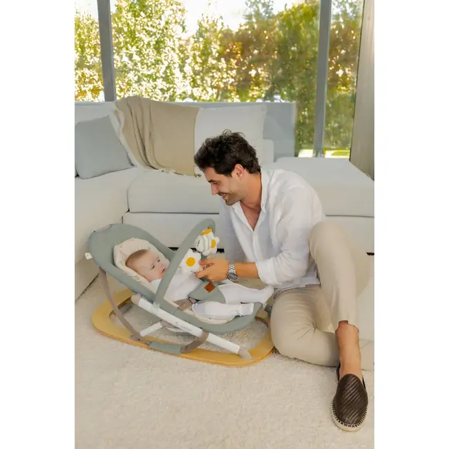 Balansoar, Jane, Kalm, Pliabil, Cu bara de jucarii si spatar reglabil, Cu baza din lemn, Conform cu standardul european de siguranta EN 12790:2023, Botanic BYN8420421090909