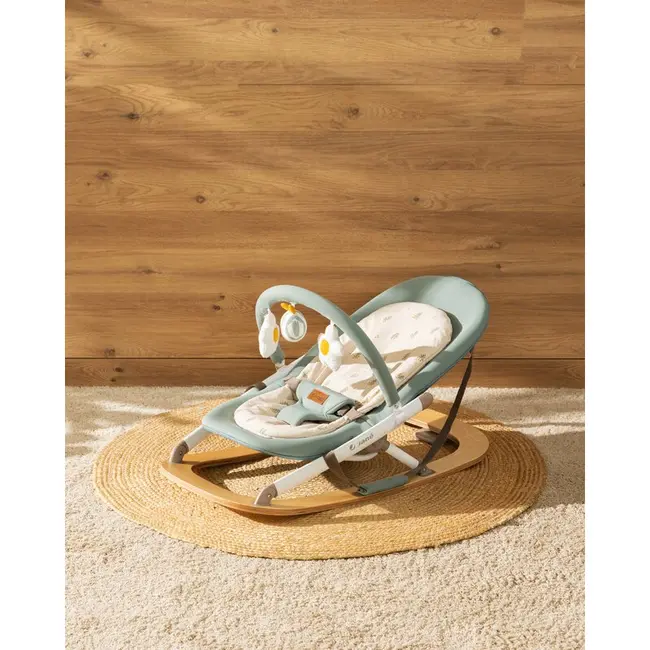 Balansoar, Jane, Kalm, Pliabil, Cu bara de jucarii si spatar reglabil, Cu baza din lemn, Conform cu standardul european de siguranta EN 12790:2023, Botanic BYN8420421090909