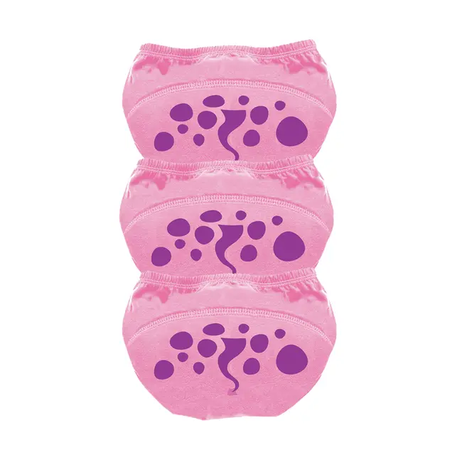 Set de 3 chilotei de antrenament la olita My Little Training Pants, 2-3 ani, Gargarita