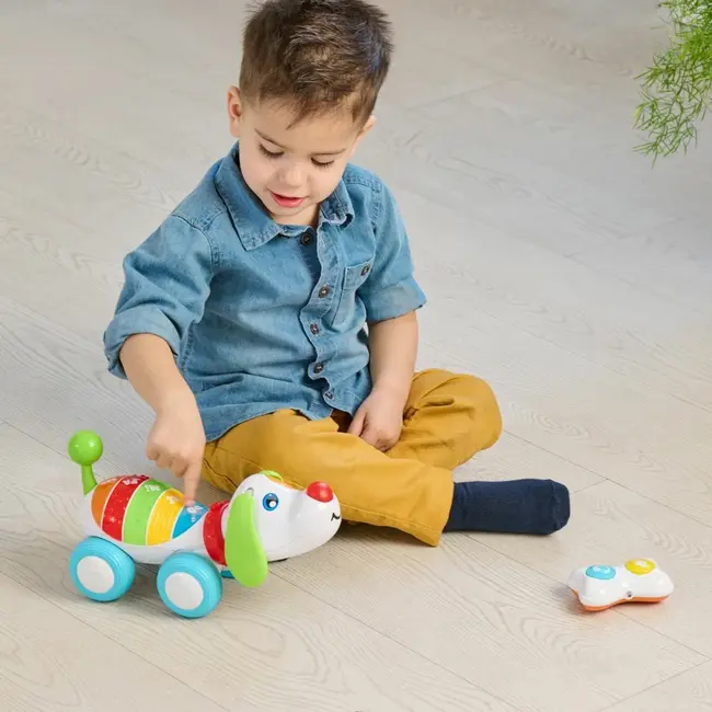 Jucarie muzicala cu telecomanda Chicco Catelusul DogReMi, 18luni-4ani CHC11545-1