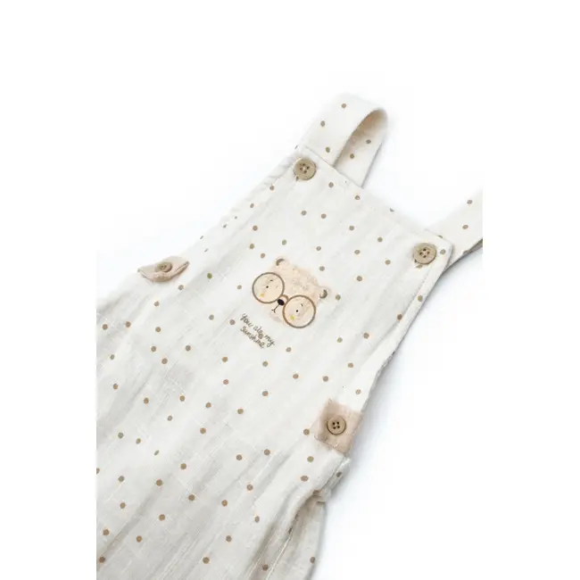 Salopeta cu palariuta TeddyBear, BabyCosy, 100% bumbac organic (Marime: 3-6 Luni) JEMBC-CSYM7106-3