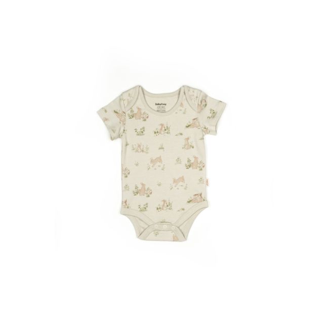 Set 3 body Rabbit, BabyCosy, 100% bumbac (Marime: 6-9 luni) JEMBC-CSY5764-6