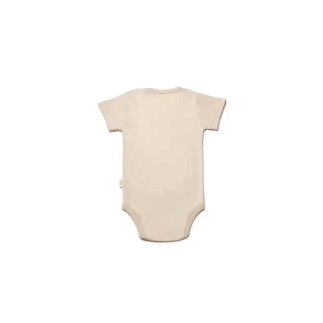 Set 3 body TeddyBear, BabyCosy, 100% bumbac (Marime: 3-6 Luni) JEMBC-CSY8121-3