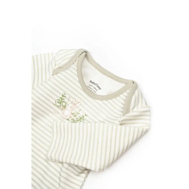 Set 3 piese:body, pantaloni si baveta Rabbit, BabyCosy, 100% bumbac (Marime: 6-9 luni) JEMBC-CSY5201-6