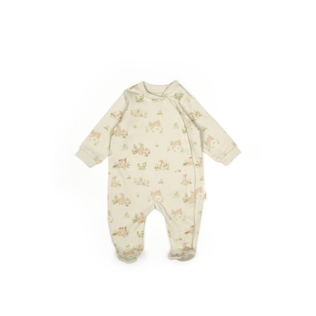 Set de 10 piese pentru nou nascut, 100% bumbac organic, Rabbit, BabyCosy JEMBC-CSY5113