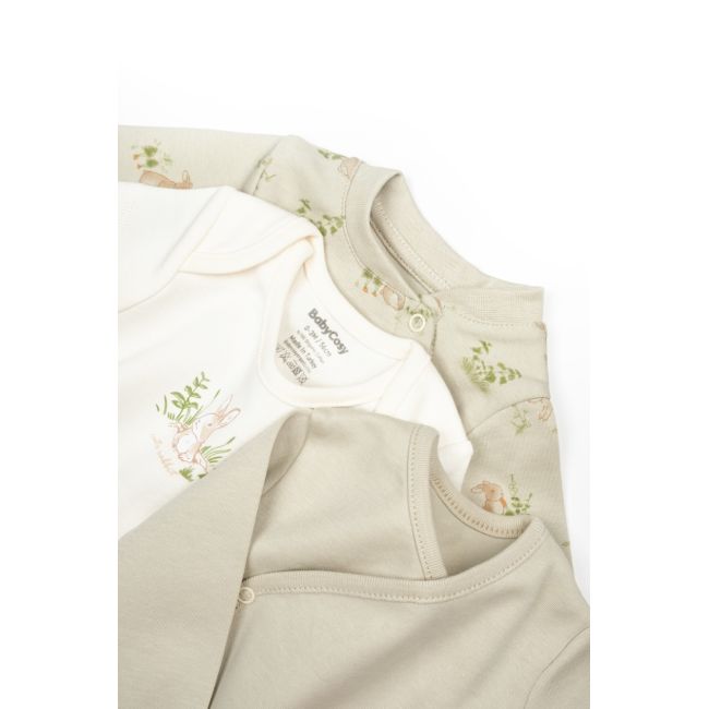 Set de 10 piese pentru nou nascut, 100% bumbac organic, Rabbit, BabyCosy JEMBC-CSY5113