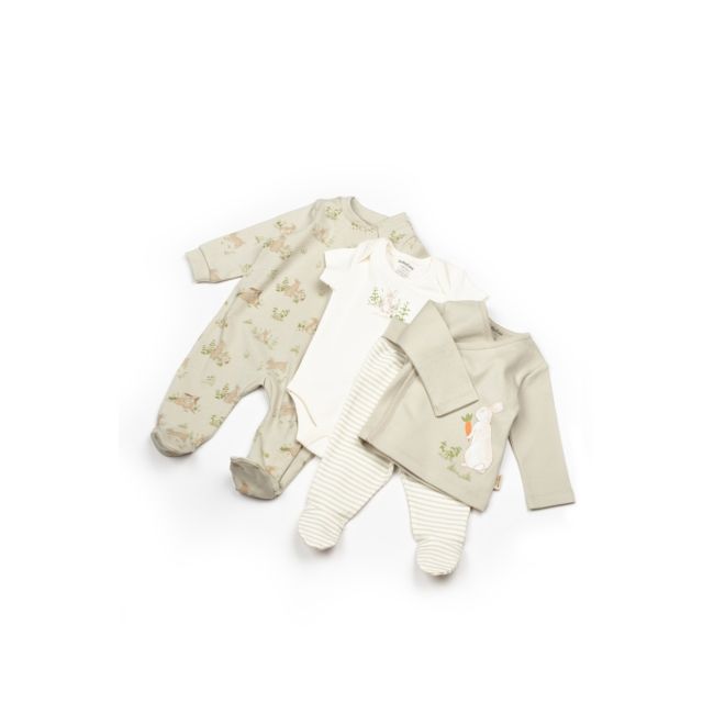Set de 10 piese pentru nou nascut, 100% bumbac organic, Rabbit, BabyCosy JEMBC-CSY5113