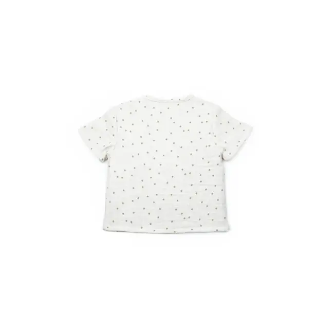 Set tricou cu pantaloni scurti TeddyBear, 100% bumbac organic, BabyCosy (Marime: 18-24 Luni) JEMBC-CSYM7101-18