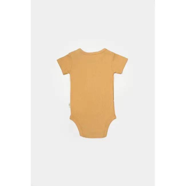 Set 2 body Bamboo, galben, BabyCosy, 50% bumbac+50%bambus (Marime: 3-6 Luni) JEMBC-CSYB9016-3