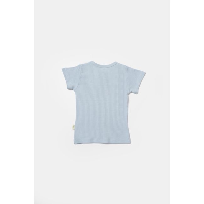 Set 2 tricouri Bamboo, blue, BabyCosy, 50% bumbac+50%bambus (Marime: 6-9 luni) JEMBC-CSYB9023-6