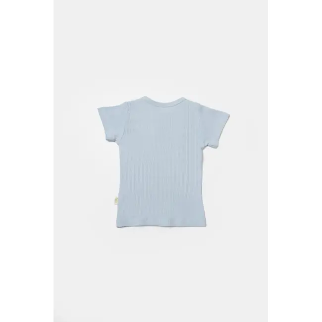 Set 2 tricouri Bamboo, blue, BabyCosy, 50% bumbac+50%bambus (Marime: 6-9 luni) JEMBC-CSYB9023-6