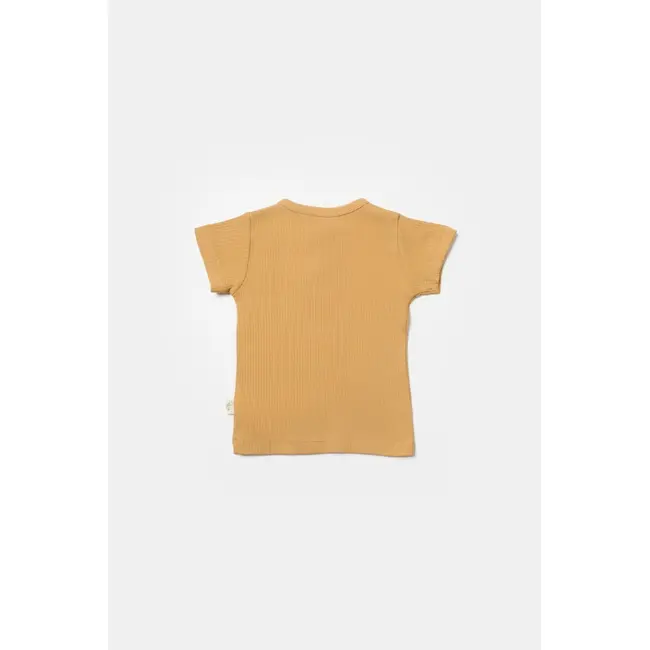 Set 2 tricouri Bamboo, galben, BabyCosy, 50% bumbac+50%bambus (Marime: 9-12 luni) JEMBC-CSYB9022-9