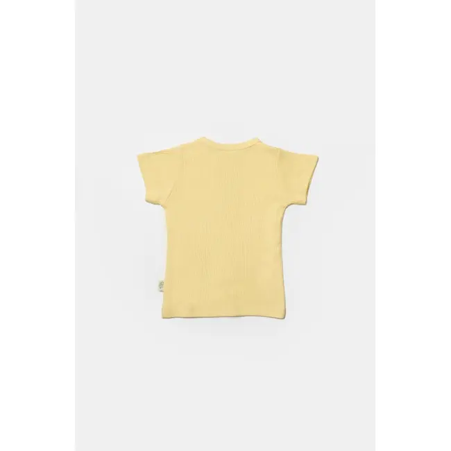 Set 2 tricouri Bamboo, galben, BabyCosy, 50% bumbac+50%bambus (Marime: 9-12 luni) JEMBC-CSYB9022-9