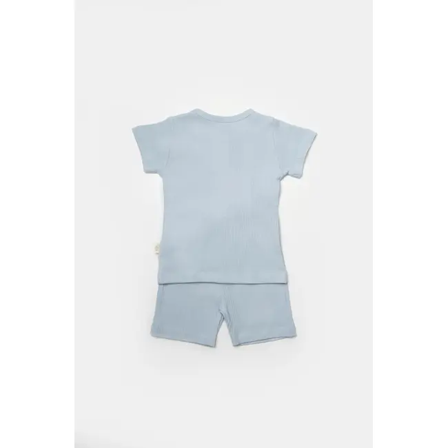 Set tricou cu pantaloni Bamboo, blue, BabyCosy, 50%bumbac+50% bambus (Marime: 12-18 Luni) JEMBC-CSYB9043-12