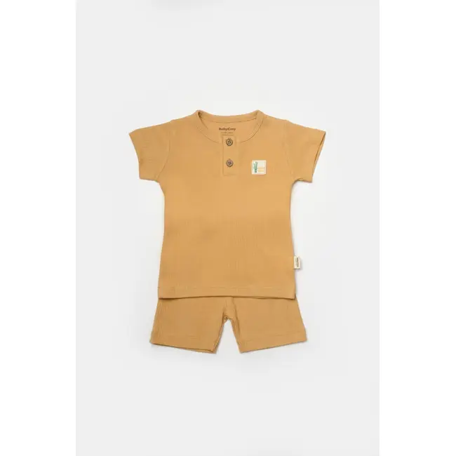 Set tricou cu pantaloni Bamboo, maro, BabyCosy, 50%bumbac+50% bambus (Marime: 6-9 luni) JEMBC-CSYB9042-6
