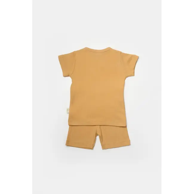 Set tricou cu pantaloni Bamboo, maro, BabyCosy, 50%bumbac+50% bambus (Marime: 6-9 luni) JEMBC-CSYB9042-6