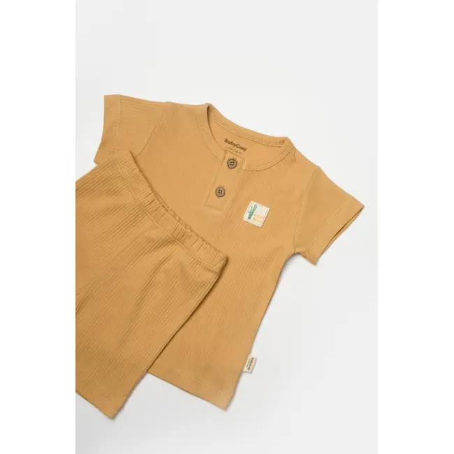 Set tricou cu pantaloni Bamboo, maro, BabyCosy, 50%bumbac+50% bambus (Marime: 6-9 luni) JEMBC-CSYB9042-6
