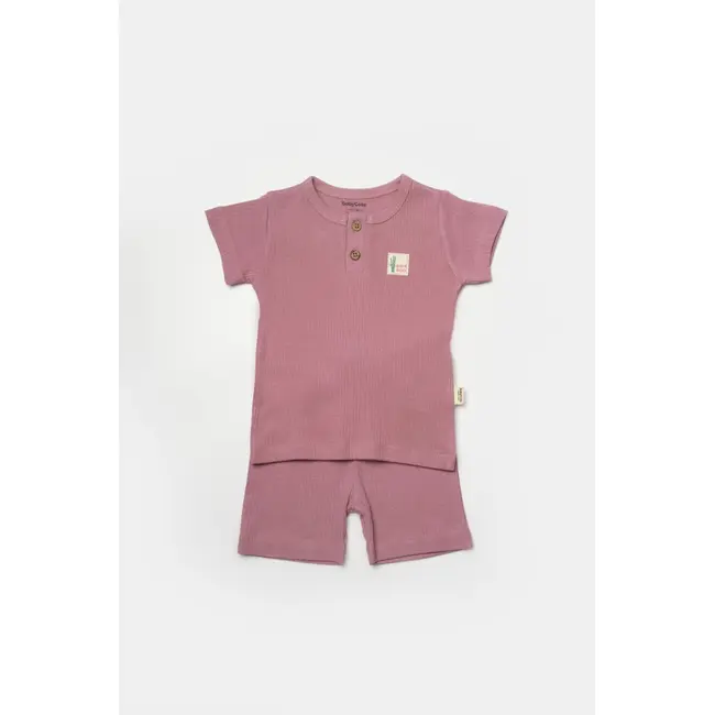 Set tricou cu pantaloni Bamboo, roz, BabyCosy, 50%bumbac+50% bambus (Marime: 6-9 luni) JEMBC-CSYB9039-6