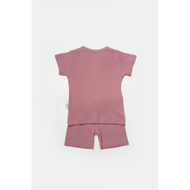 Set tricou cu pantaloni Bamboo, roz, BabyCosy, 50%bumbac+50% bambus (Marime: 9-12 luni) JEMBC-CSYB9039-9