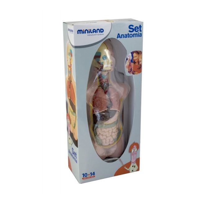 Set anatomia umana 50 cm - okeml99020