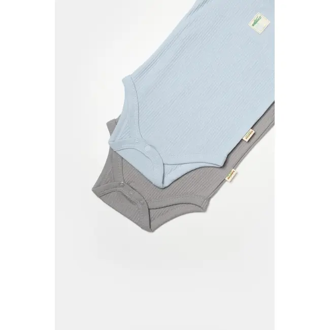 Set 2 body-uri fara maneci Bamboo, bleu, BabyCosy, 50% bambus+50% bumbac (Marime: 6-9 luni) JEMBC-CSYB9014-6