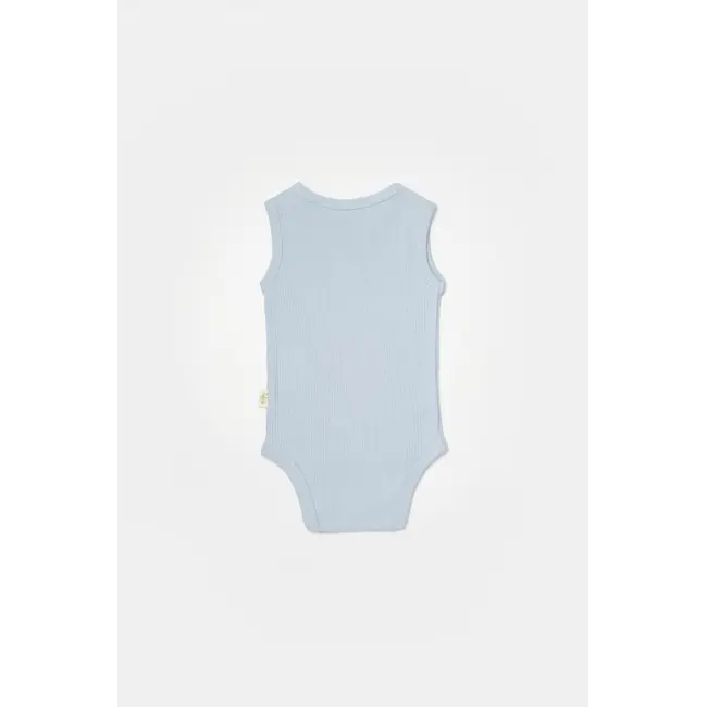 Set 2 body-uri fara maneci Bamboo, bleu, BabyCosy, 50% bambus+50% bumbac (Marime: 9-12 luni) JEMBC-CSYB9014-9