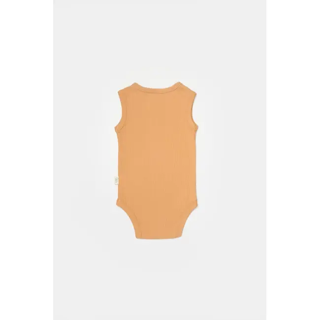 Set 2 body-uri fara maneci Bamboo, galben, BabyCosy, 50% bambus+50% bumbac (Marime: 3-6 Luni) JEMBC-CSYB9013-3