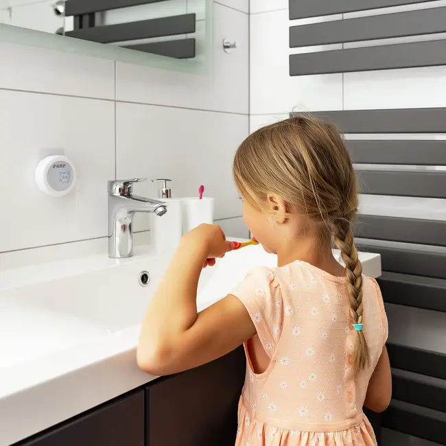 Cronometru dublu, pentru spalarea mainilor si periajul dintilor, sustine igiena temeinica la copiii de peste 24 luni, protectie apa IP65, Reer 79290