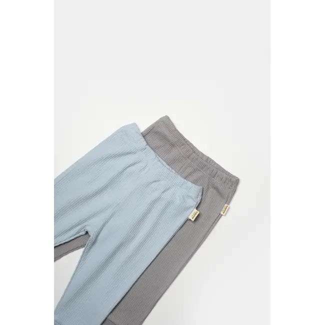 Set 2 pantaloni Bamboo, bleu, BabyCosy, 50%bumbac+50% bambus (Marime: 3-6 Luni) JEMBC-CSYB9032-3