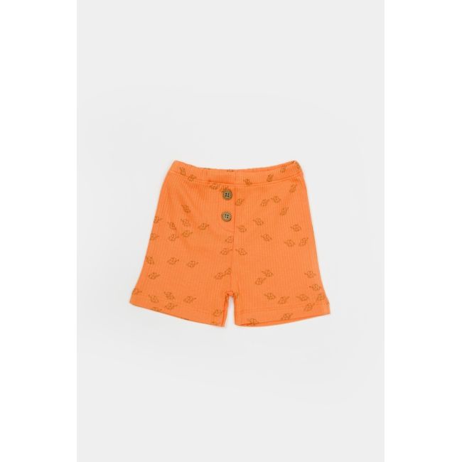 Set tricou cu pantaloni Printed, portocaliu, BabyCosy, 50%bumbac+50% modal (Marime: 3-6 Luni) JEMBC-CSYM11705-3