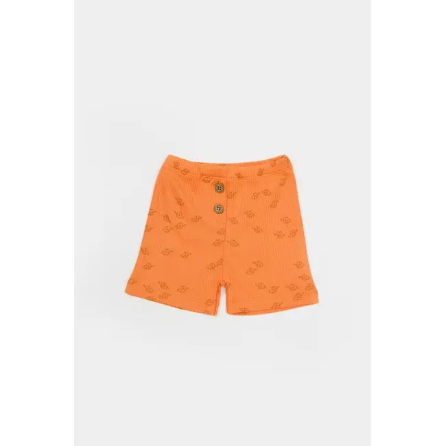 Set tricou cu pantaloni Printed, portocaliu, BabyCosy, 50%bumbac+50% modal (Marime: 9-12 luni) JEMBC-CSYM11705-9