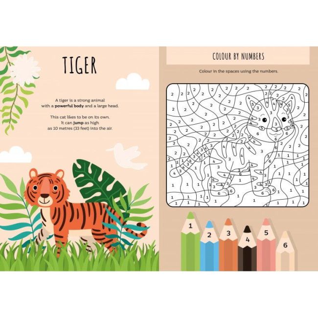 Carte de activitati cu abtibilduri - jungla