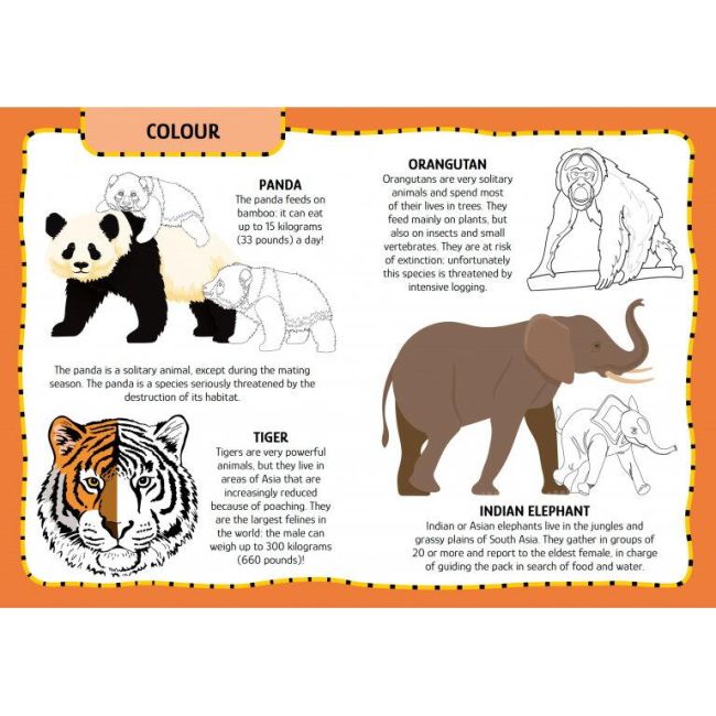 Primul set de arta & lucru manual - animalute