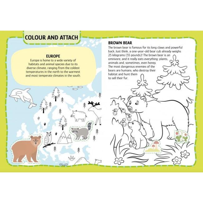 Primul set de arta & lucru manual - animalute