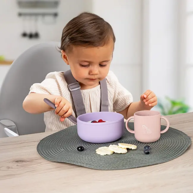 Set 4 piese vesela din silicon pentru mancarea copiilor (farfurie, castron, canuta, lingurita), fara BPA, lavabile in masina de spalat vase, de la 6 luni, mov, Reer 25124