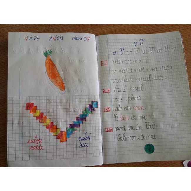 CAIET Liniatura Combinata NumLit CLN-cls1 BBJCLN-cls1_Initiala