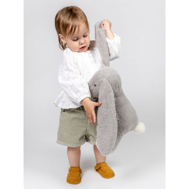 Erda camel