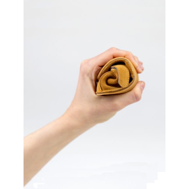 Erda camel