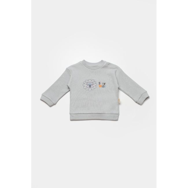 Set bluzita cu pantalon Lion, gri, BabyCosy, 100%bumbac (Marime: 3-6 Luni) JEMBC-CSYW1024-3